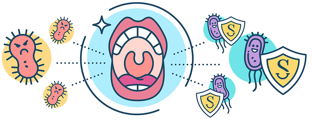 Over 700 species of both good and bad bacteria populate our mouths all day, every day